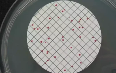 Calidad del agua en Illescas. Un tema que preocupa a los vecinos