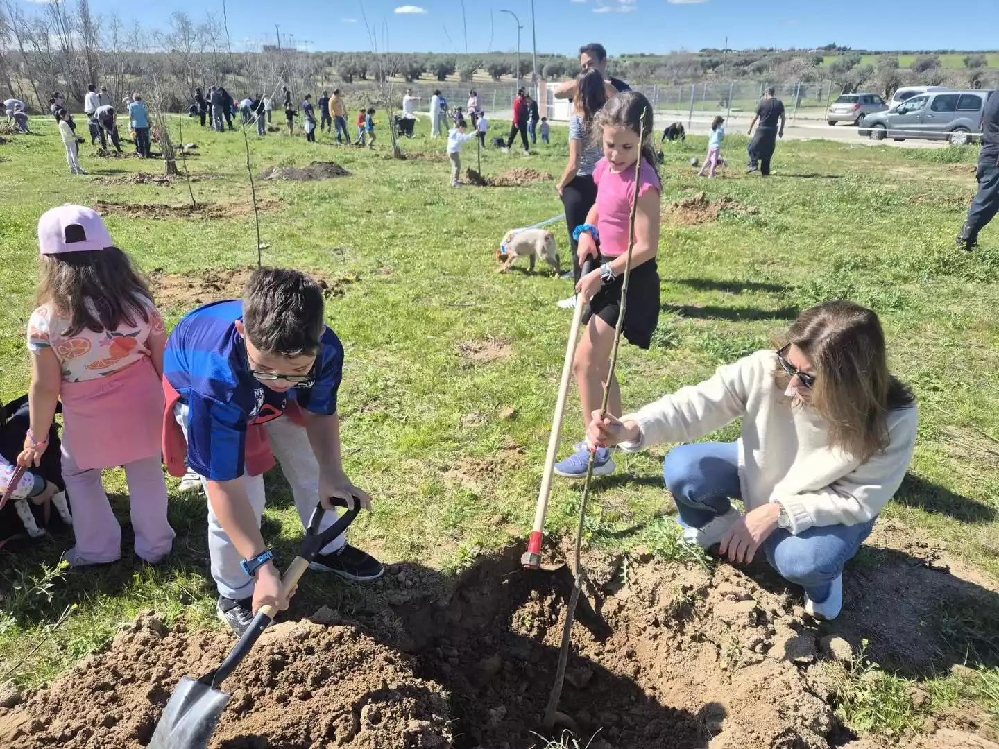 Plantación de arboles en el Señorío de Illescas