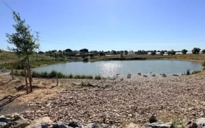 Valfondo inaugura una zona verde en el polígono logístico Pradillos II de Illescas